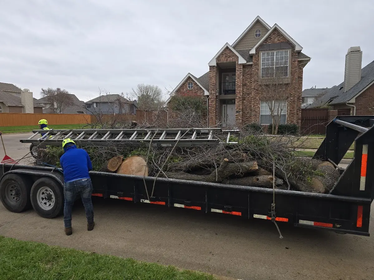 Expert Lot Clearing with proper safety equipment in Lorida